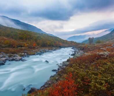 b_zocholl-river-6068374_1920