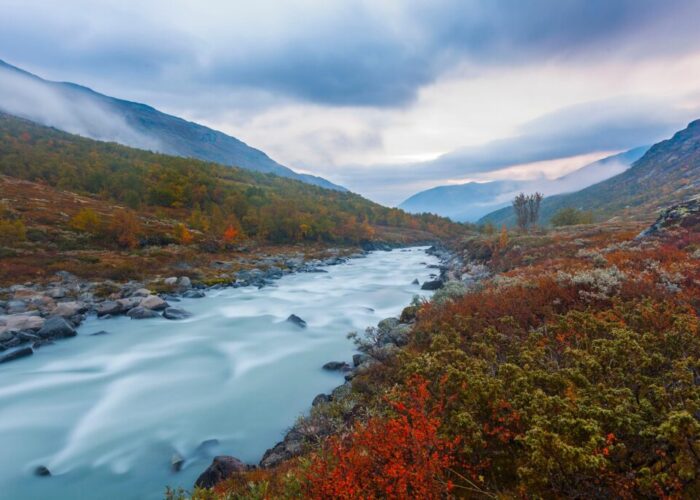 b_zocholl-river-6068374_1920